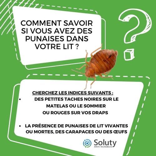 Comment Inspecter Votre Literie