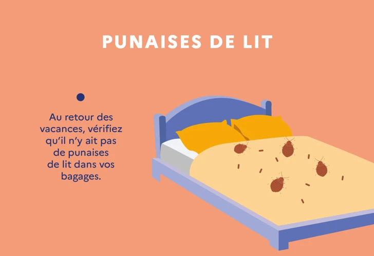 Les Punaises De Lit: Une Nuisance Persistante