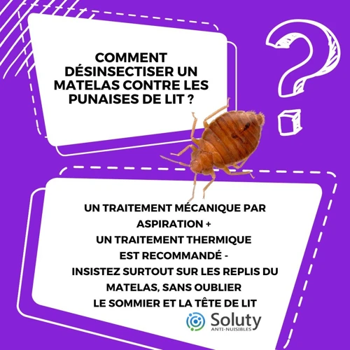 Traitements Contre Les Punaises De Lit